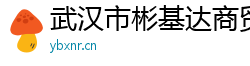 武汉市彬基达商贸有限公司