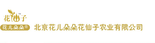 首页―北京花仙子园艺―专业种子培育